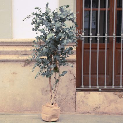 7_verdes y arboles 7_verdes y arboles